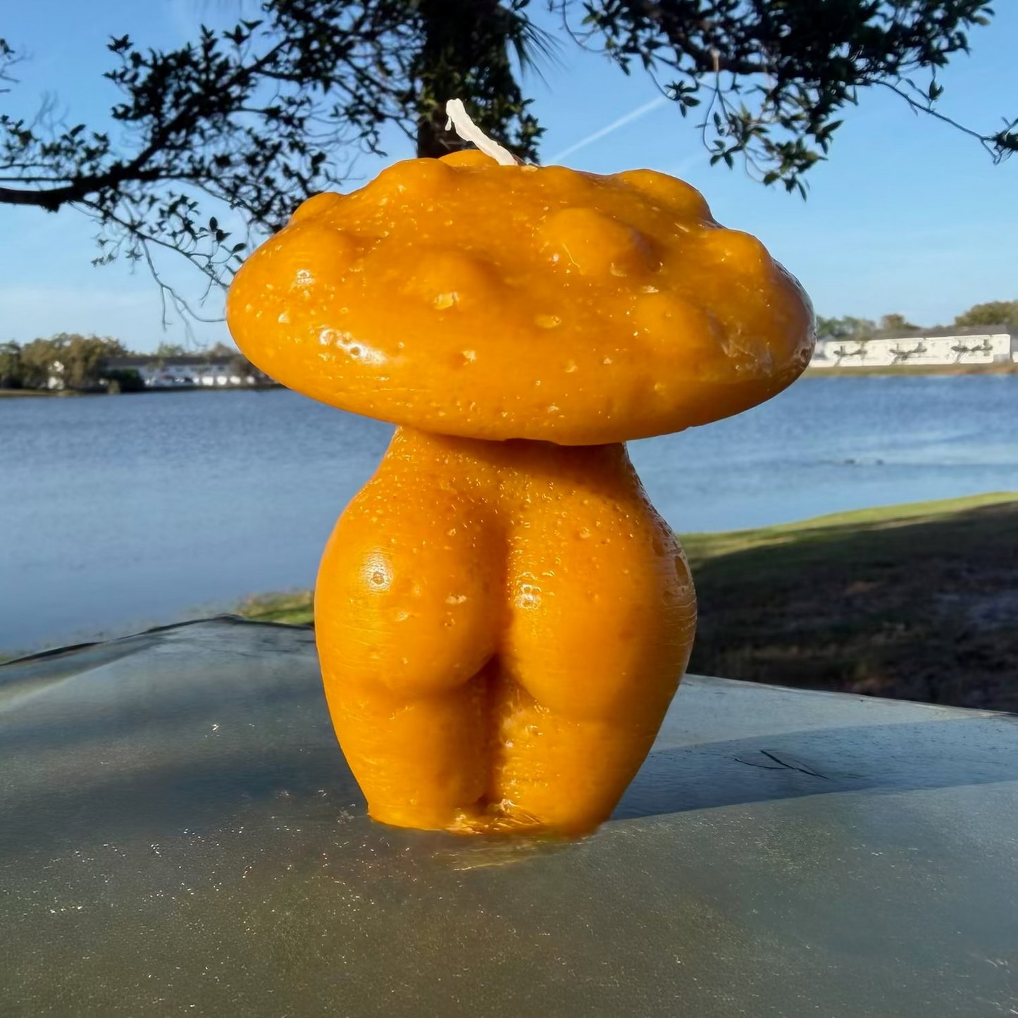 Marigold