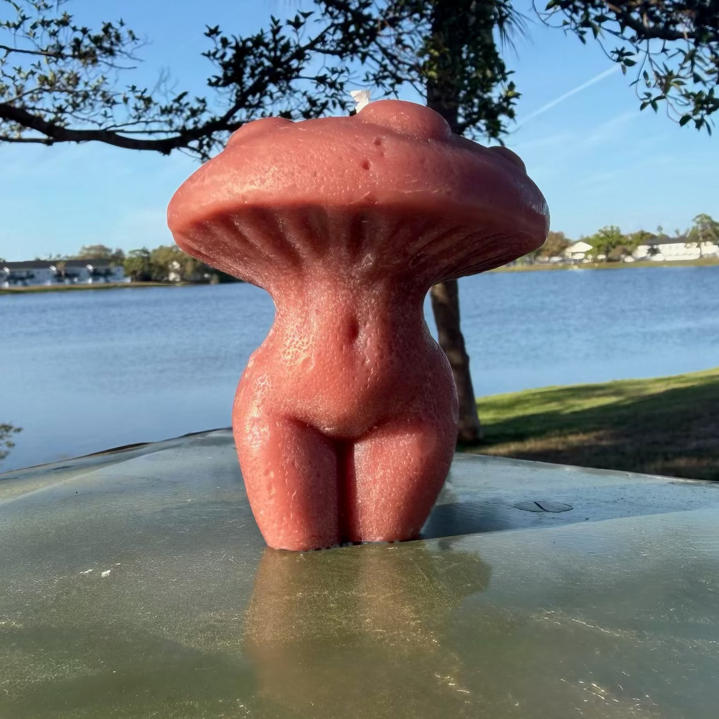 Desert Rose